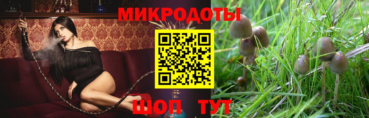 Астрахань  Галлюциногенные грибы MAGIC MUSHROOMS  Вход с VPN 